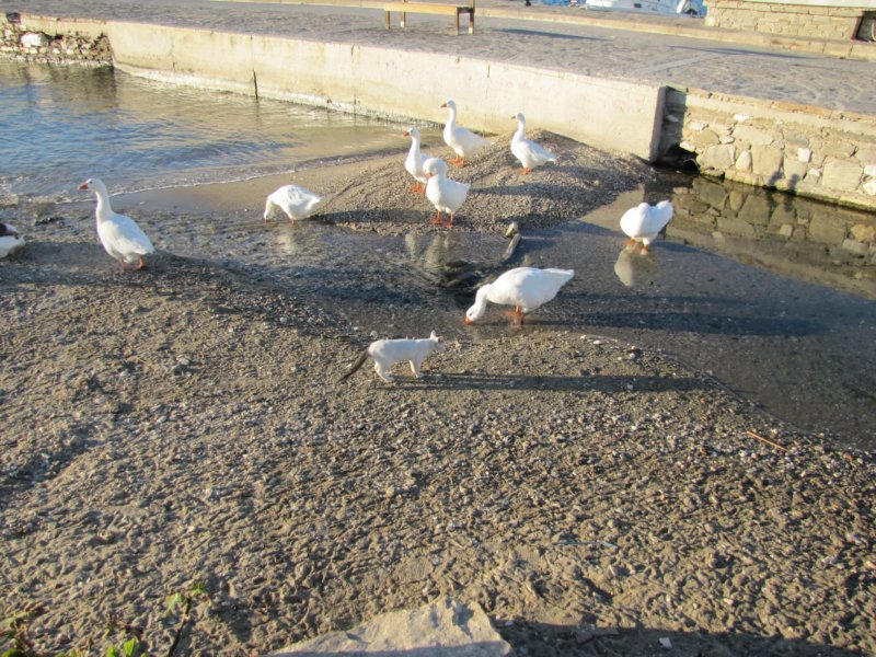 sep2011parosnaousa86.jpg