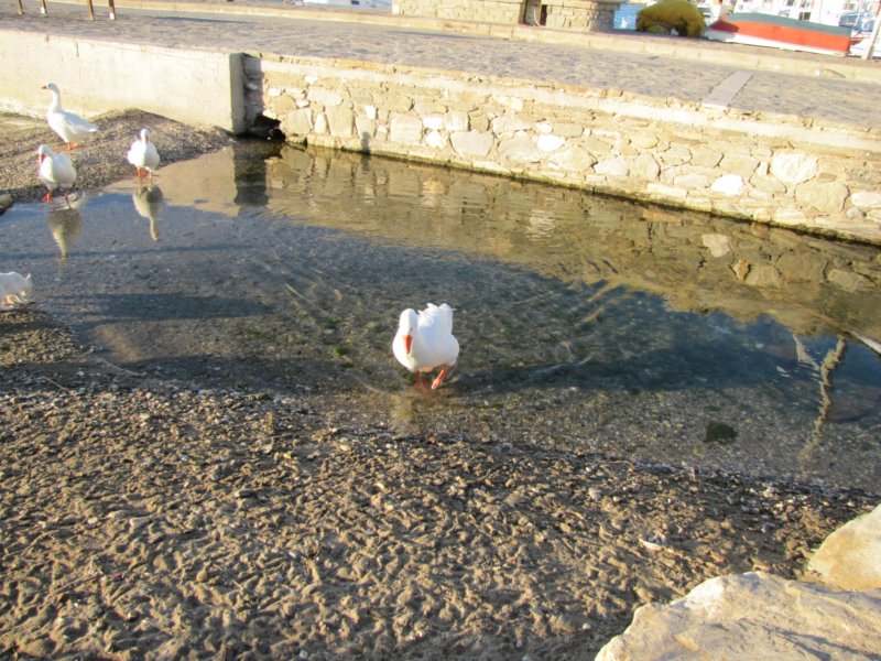 sep2011parosnaousa93.jpg