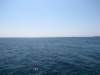 sep2011pisolivadi47_small.jpg