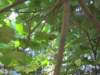 sep2011valleyofbutterflies_small.jpg