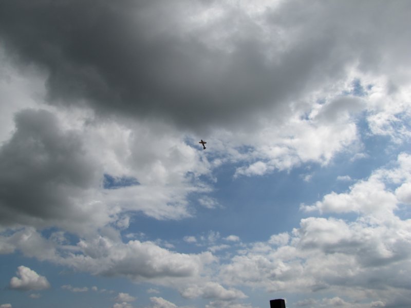 img_7798.jpg