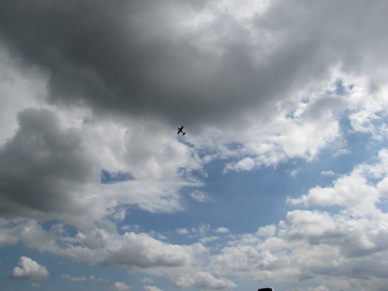 img_7799.jpg