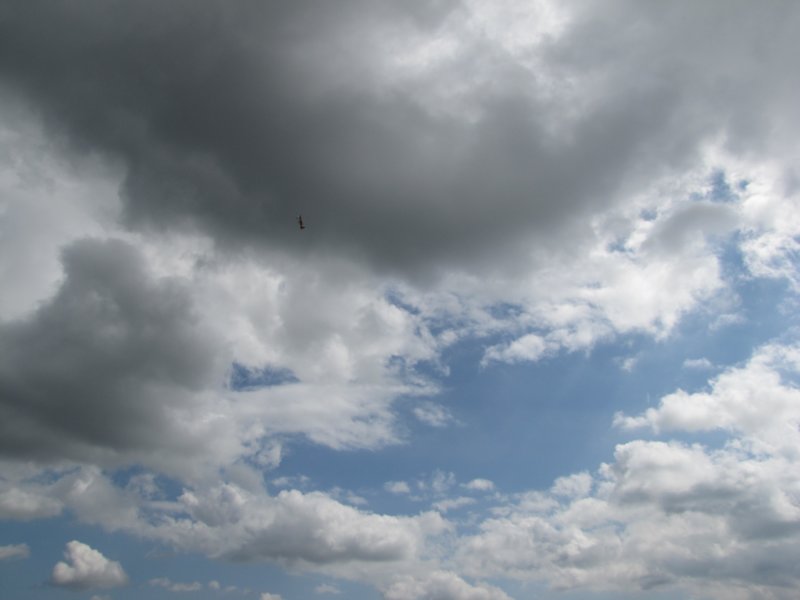 img_7801.jpg