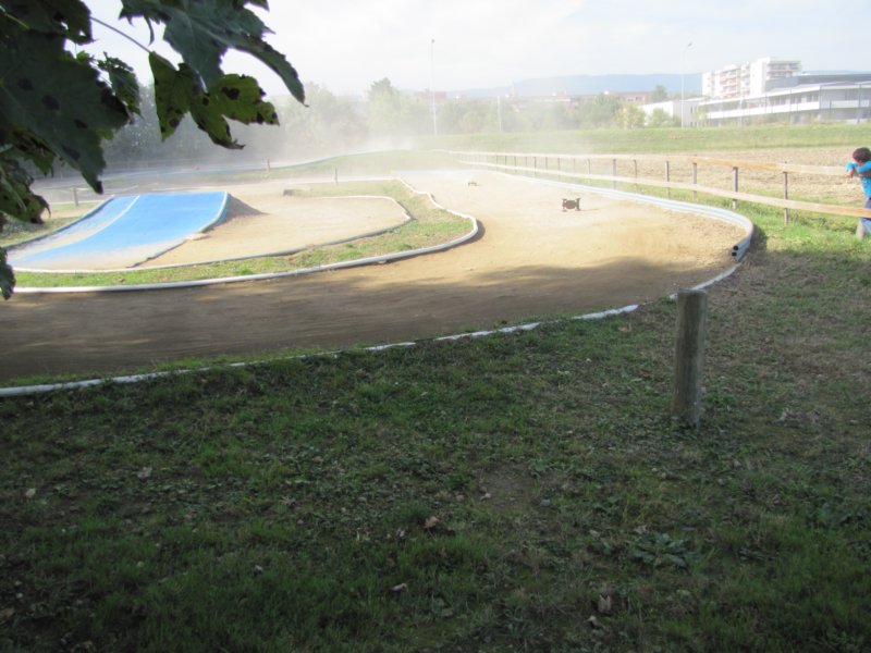 img_9905.jpg