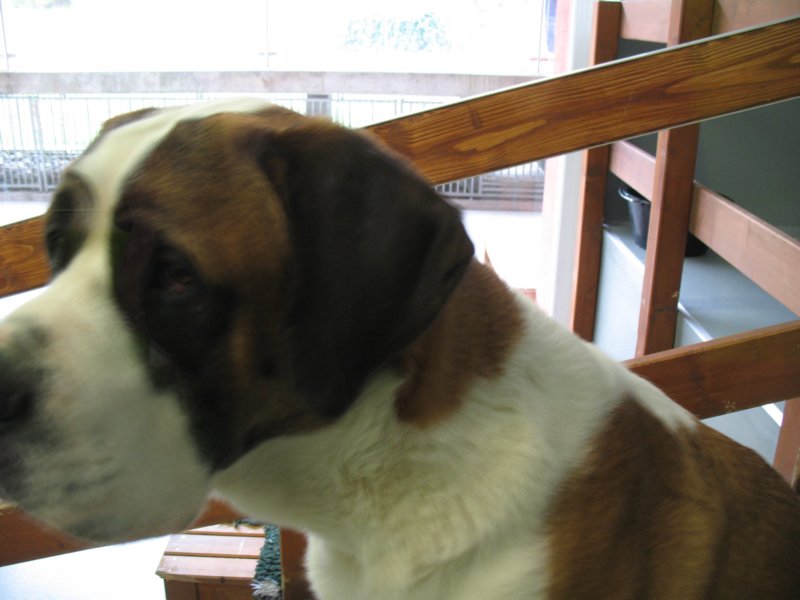img_3610.jpg