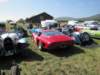 isogrifo19652_small.jpg