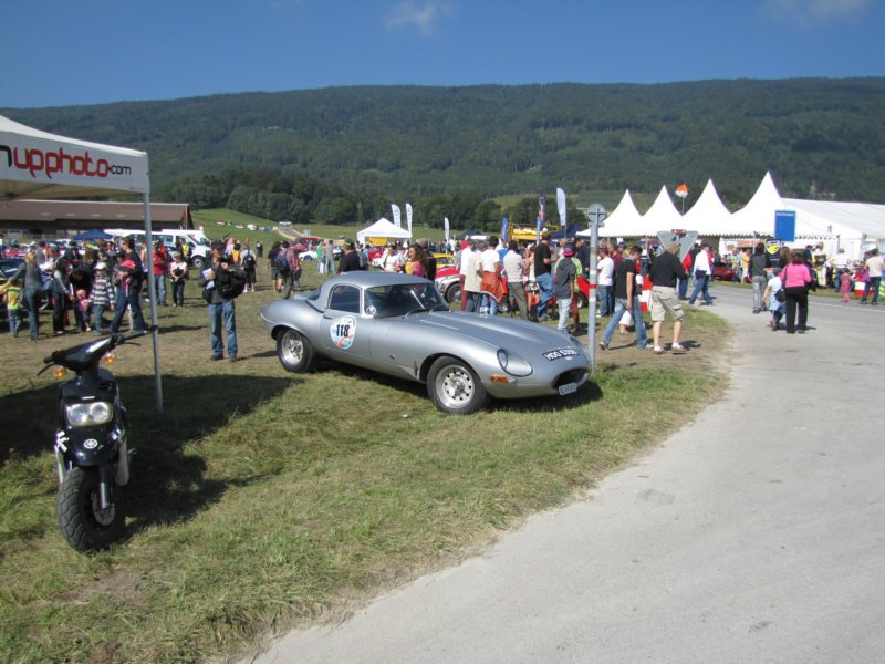 jaguaretype.jpg