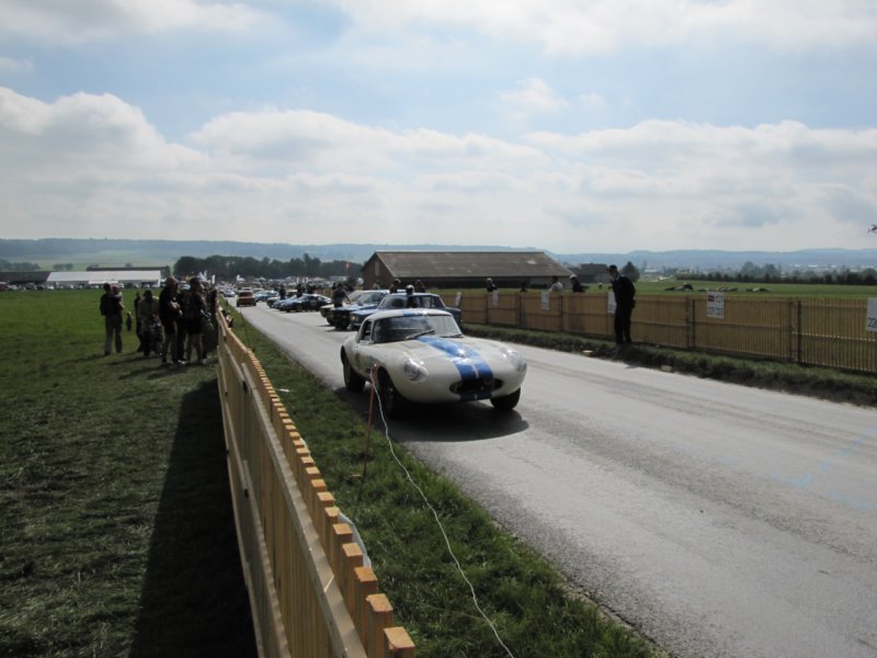 jaguartypee3819625.jpg