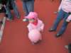 img_9332_small.jpg