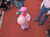 img_9334_small.jpg