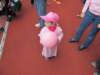 img_9335_small.jpg