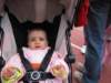 img_9385_small.jpg