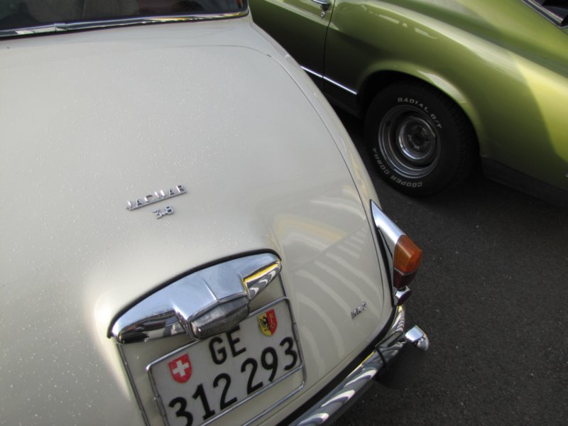 jaguarmark2.jpg