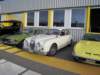 jaguarmark23_small.jpg