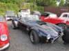 shelbycobra4274_small.jpg