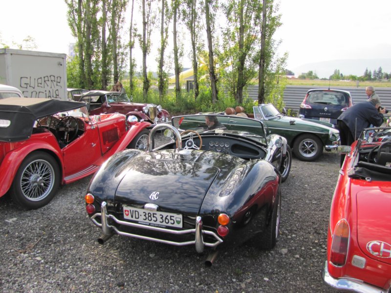 shelbycobra4276.jpg
