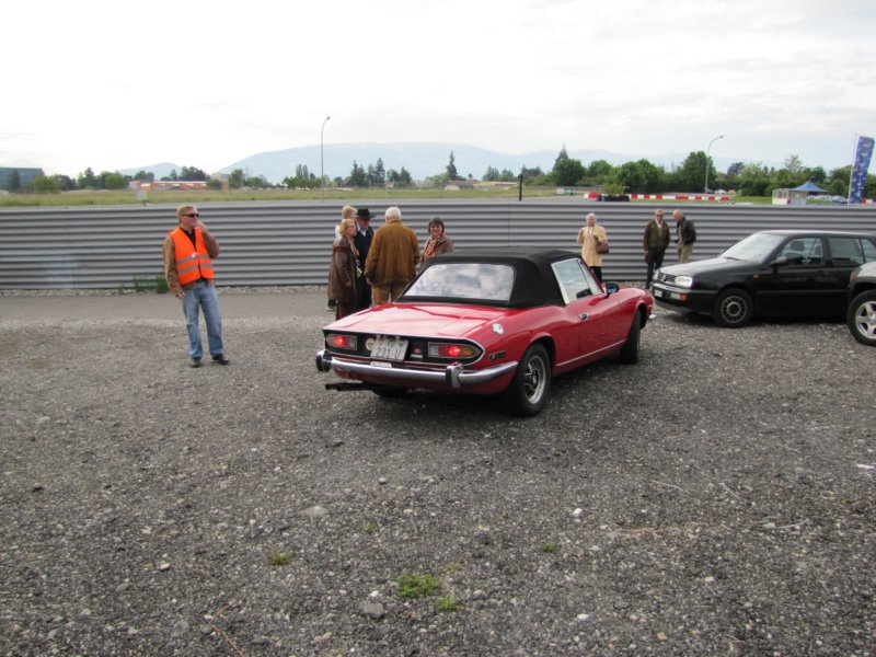 triumphstag.jpg