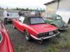 triumphstag3_small.jpg