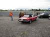 triumphstag_small.jpg