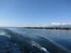 img_8444_small.jpg
