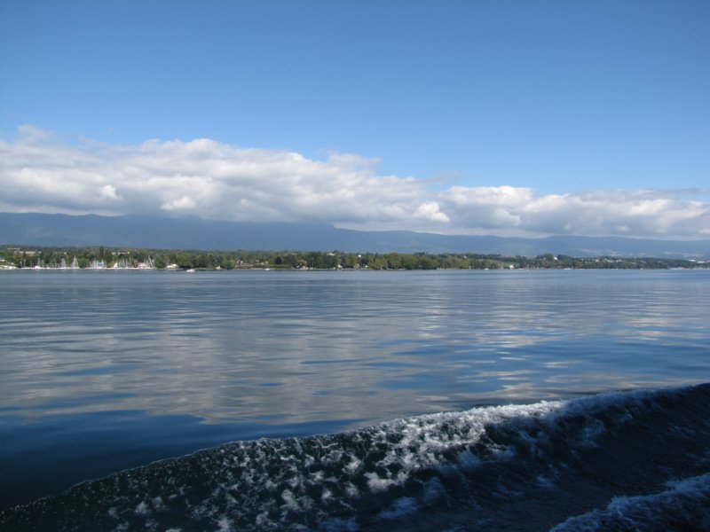 img_8445.jpg