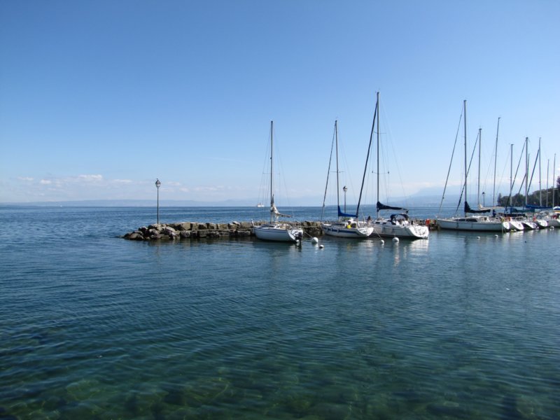 img_8461.jpg