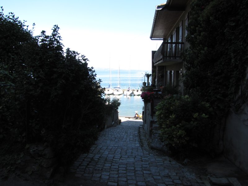 img_8474.jpg