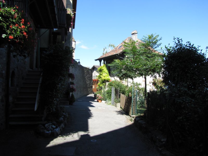 img_8475.jpg