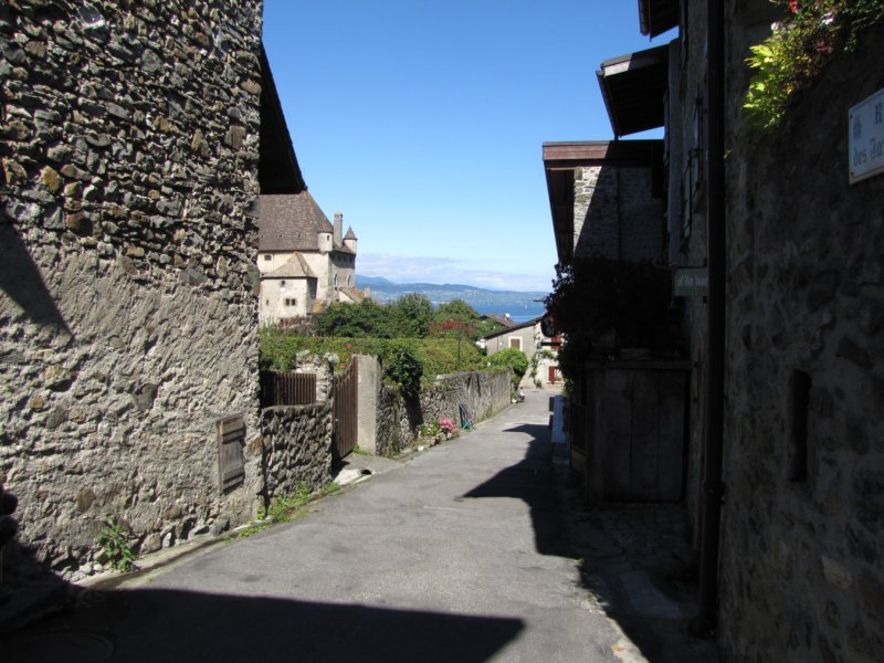 img_8495.jpg