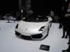 lamborghinigallardolp5502spyder2_small.jpg