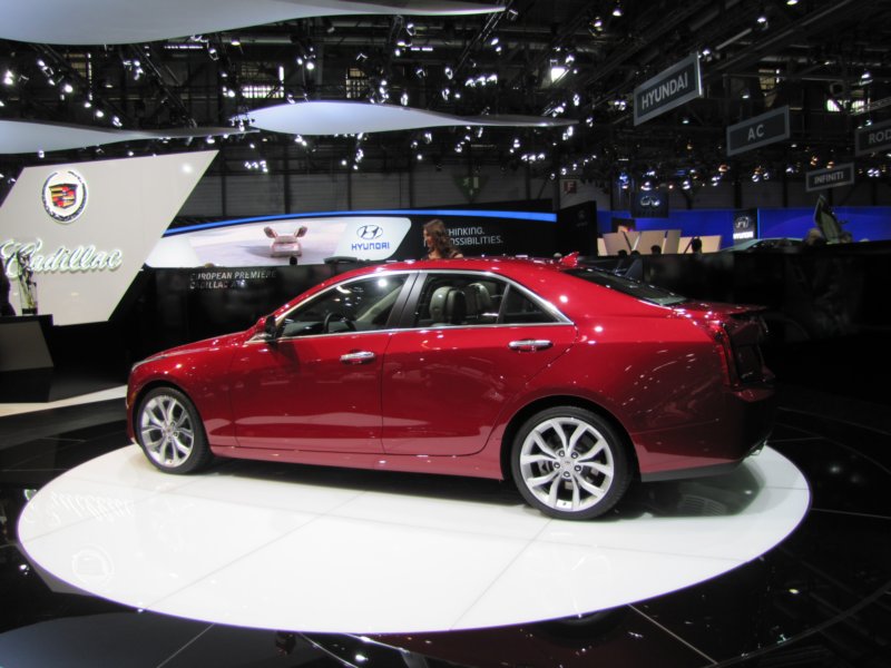cadillacats11.jpg