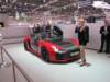 rodingroadster234_small.jpg