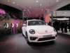 vwbeetle10_small.jpg
