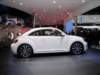 vwbeetle25_small.jpg