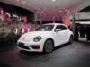 vwbeetle2_small.jpg