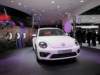 vwbeetle6_small.jpg