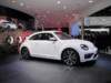 vwbeetle8_small.jpg