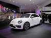 vwbeetle_small.jpg