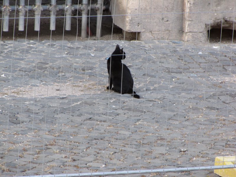 jul2013340.jpg