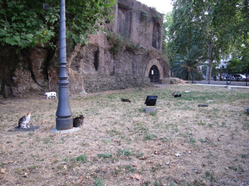 jul2013617.jpg