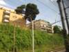 jul2013758_small.jpg