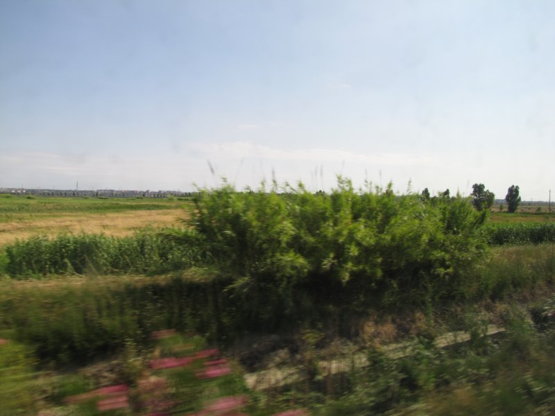 jul2013834.jpg