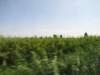 jul2013837_small.jpg