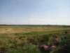jul2013845_small.jpg