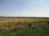 jul2013846_small.jpg