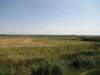 jul2013848_small.jpg