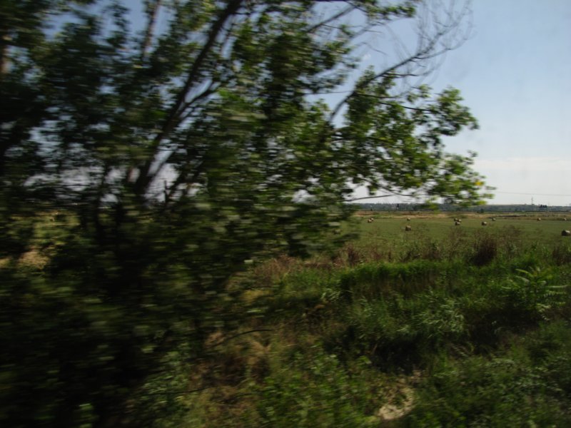 jul2013853.jpg