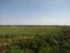 jul2013854_small.jpg
