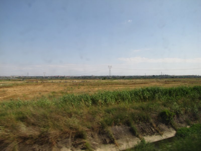 jul2013861.jpg
