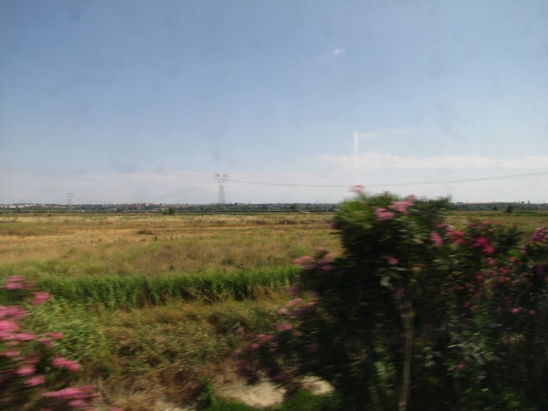 jul2013864.jpg